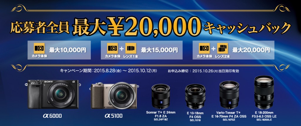 SONY 気まず α51000 