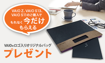 vaio_bag_350_209