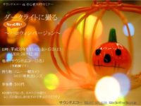 ダークライトハロウインＨ30.9.14.15