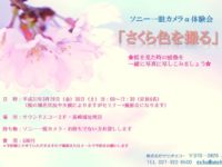 H31.3桜色チラシ