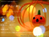 ダークライトハロウイン2019.10.11.12