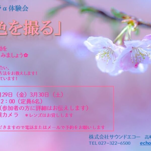 R6.3桜色1枚チラシ