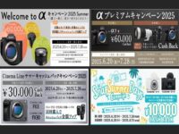 キャッシュバック2025-1
