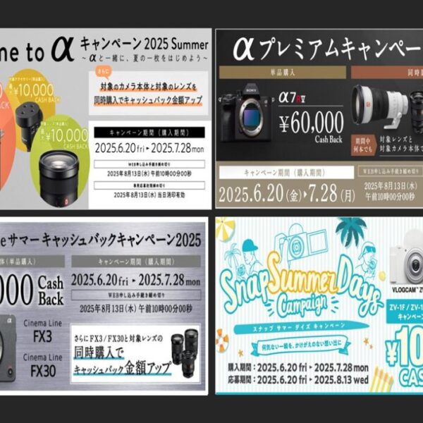 キャッシュバック2025-1