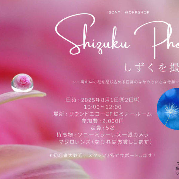 Shizuku Photo