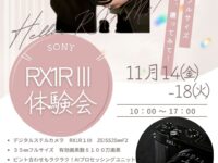 この小ささ フルサズ！ (3)